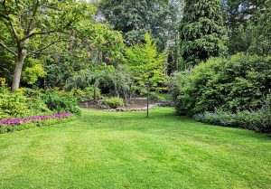 Optimiser l'expérience du jardin à Saint-Rigomer-des-Bois